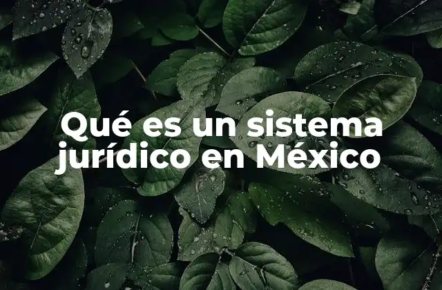Qué es un Sistema Jurídico en México