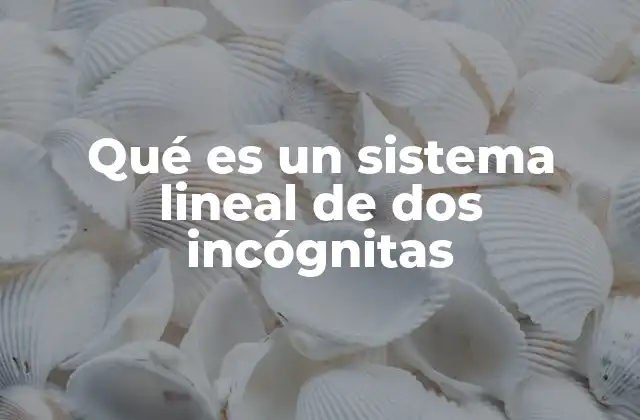 Qué es un Sistema Lineal de Dos Incógnitas