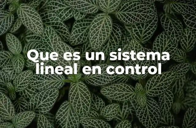 Que es un Sistema Lineal en Control