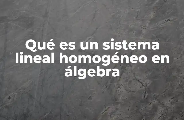 Qué es un Sistema Lineal Homogéneo en Álgebra