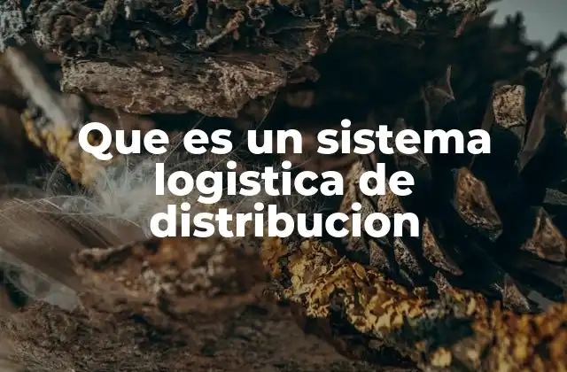 Que es un Sistema Logistica de Distribucion