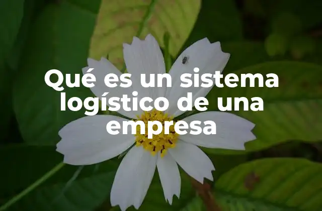Qué es un Sistema Logístico de una Empresa