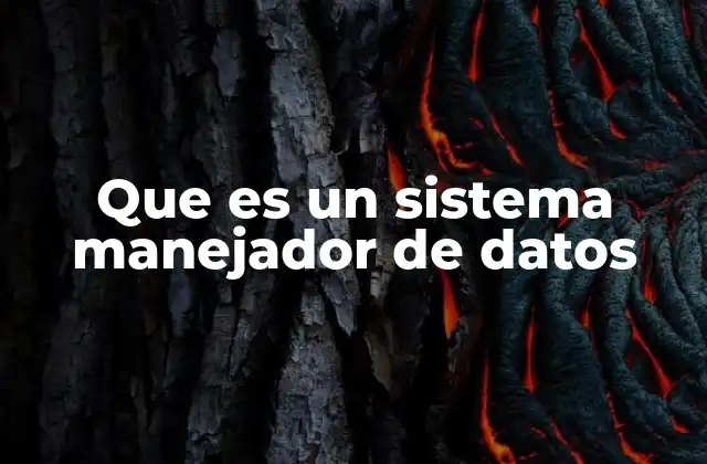 Que es un Sistema Manejador de Datos