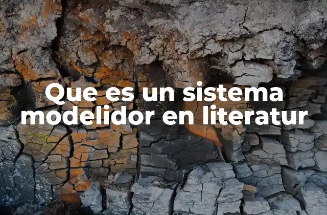 Que es un Sistema Modelidor en Literatur