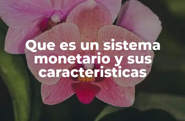 Que es un Sistema Monetario y Sus Caracteristicas
