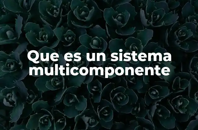 Que es un Sistema Multicomponente
