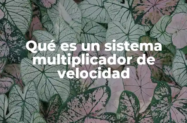 Qué es un Sistema Multiplicador de Velocidad