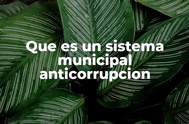 Que es un Sistema Municipal Anticorrupcion