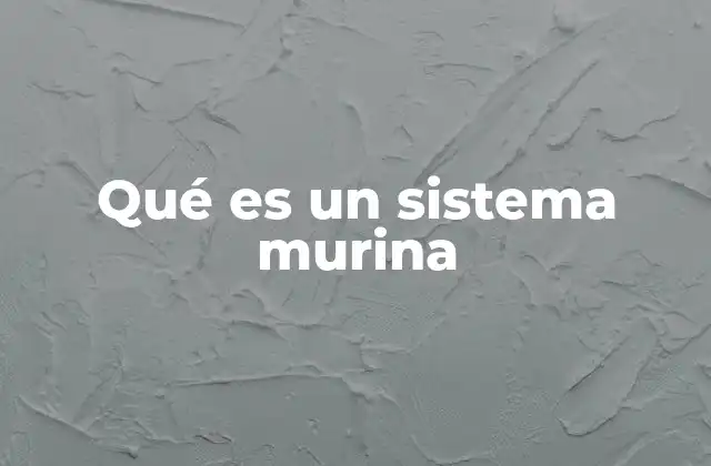 Qué es un Sistema Murina