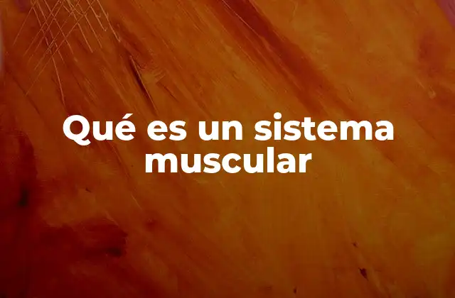 Qué es un Sistema Muscular