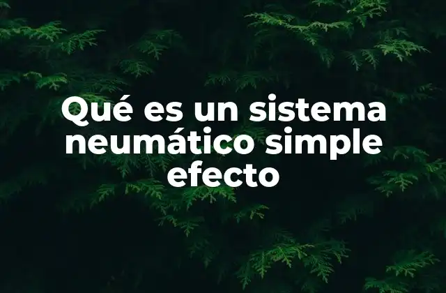 Qué es un Sistema Neumático Simple Efecto