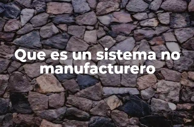 Características que diferencian a los sistemas no manufactureros