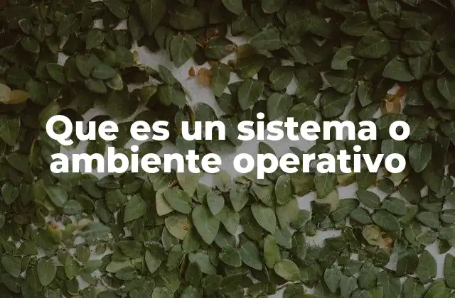 Que es un Sistema o Ambiente Operativo