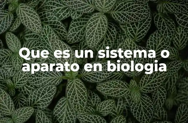 Que es un Sistema o Aparato en Biologia
