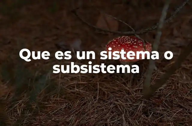 Que es un Sistema o Subsistema