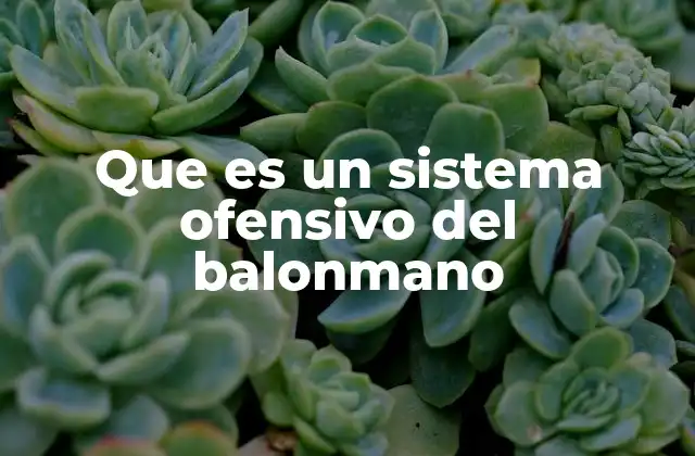 Que es un Sistema Ofensivo Del Balonmano