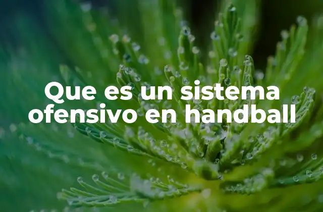 Que es un Sistema Ofensivo en Handball