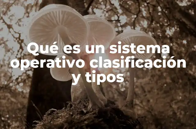 Qué es un Sistema Operativo Clasificación y Tipos