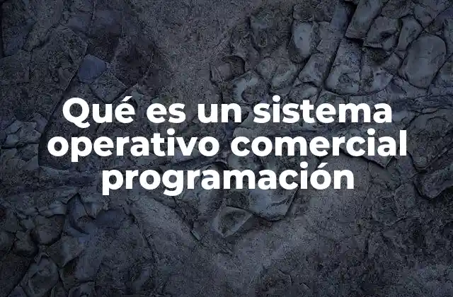 Qué es un Sistema Operativo Comercial Programación