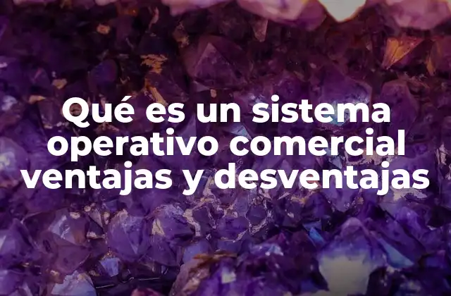 Qué es un Sistema Operativo Comercial Ventajas y Desventajas