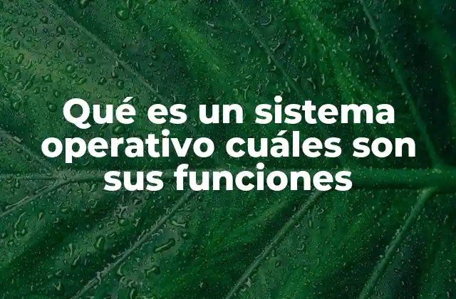 Qué es un Sistema Operativo Cuáles Son Sus Funciones