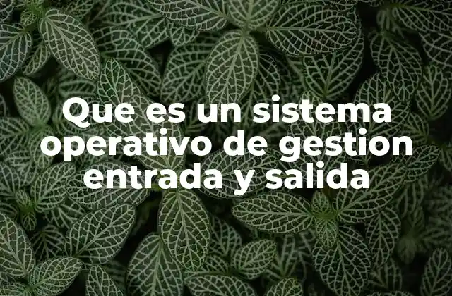 Que es un Sistema Operativo de Gestion Entrada y Salida