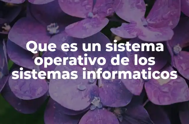 Que es un Sistema Operativo de los Sistemas Informaticos