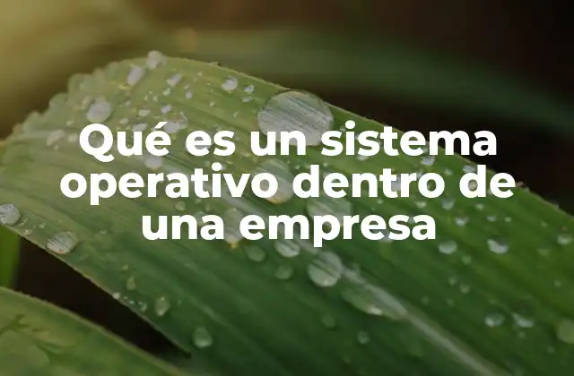 Qué es un Sistema Operativo Dentro de una Empresa