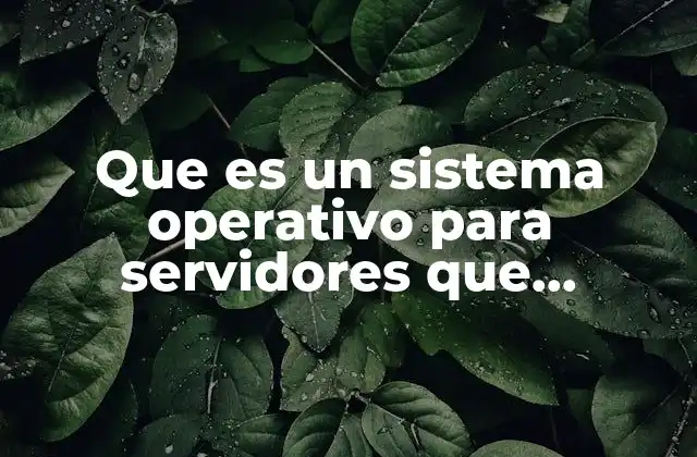 Que es un Sistema Operativo para Servidores que Cualidades Tiene