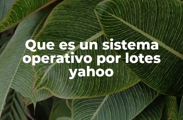 Que es un Sistema Operativo por Lotes Yahoo