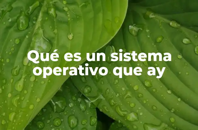 Qué es un Sistema Operativo que Ay