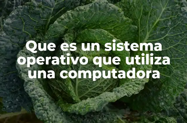 Que es un Sistema Operativo que Utiliza una Computadora