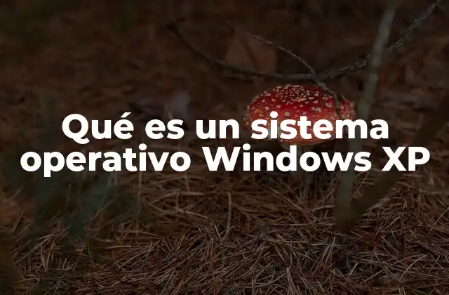 Qué es un Sistema Operativo Windows Xp