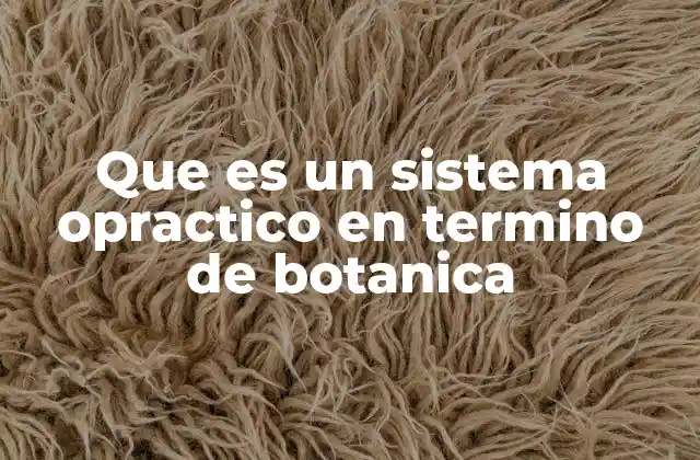 Que es un Sistema Opractico en Termino de Botanica