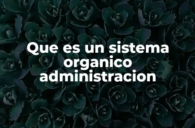 Que es un Sistema Organico Administracion