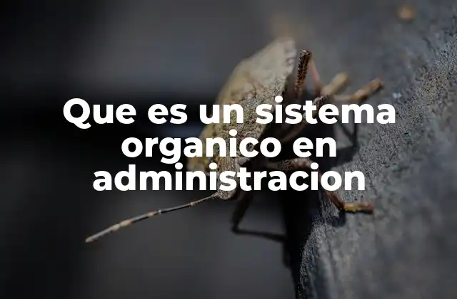 Que es un Sistema Organico en Administracion