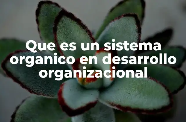 Que es un Sistema Organico en Desarrollo Organizacional
