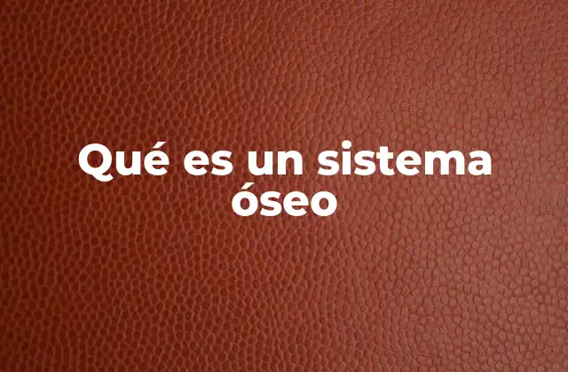 Qué es un Sistema Óseo