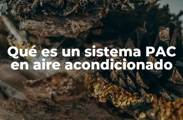 Qué es un Sistema Pac en Aire Acondicionado