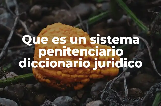 Que es un Sistema Penitenciario Diccionario Juridico