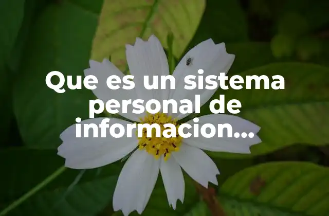 Que es un Sistema Personal de Informacion Profesional