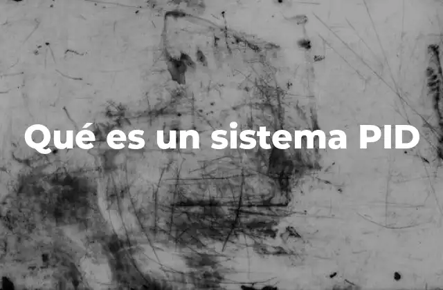 Qué es un Sistema Pid