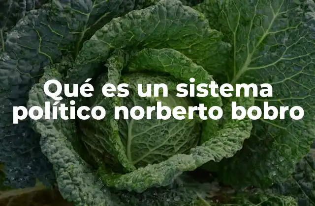 Qué es un Sistema Político Norberto Bobro
