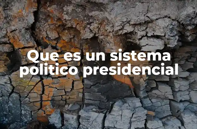 Que es un Sistema Politico Presidencial