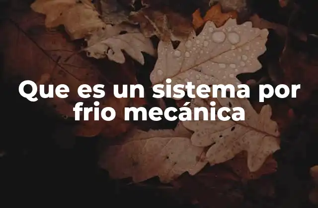 Que es un Sistema por Frio Mecánica