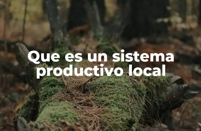 Que es un Sistema Productivo Local