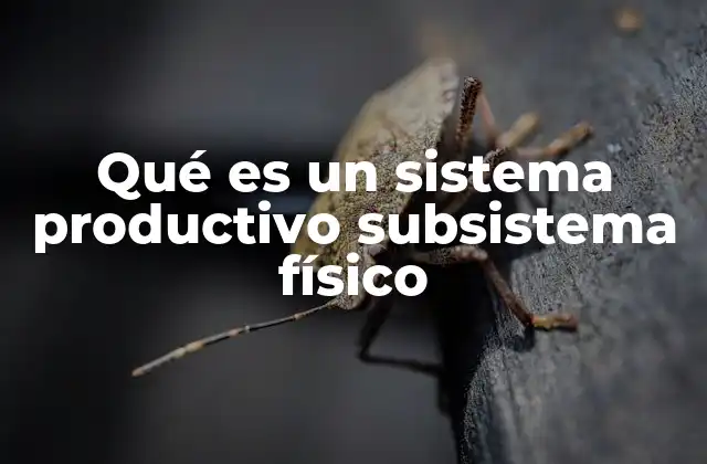 Qué es un Sistema Productivo Subsistema Físico