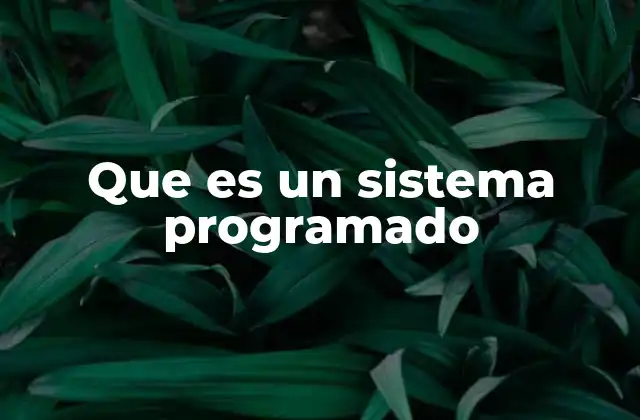 Que es un Sistema Programado