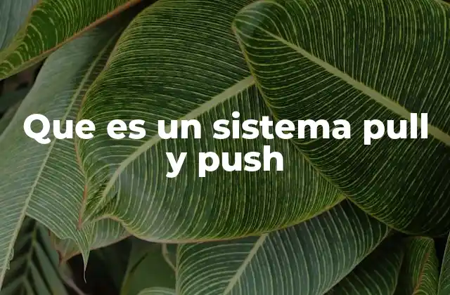 Que es un Sistema Pull y Push