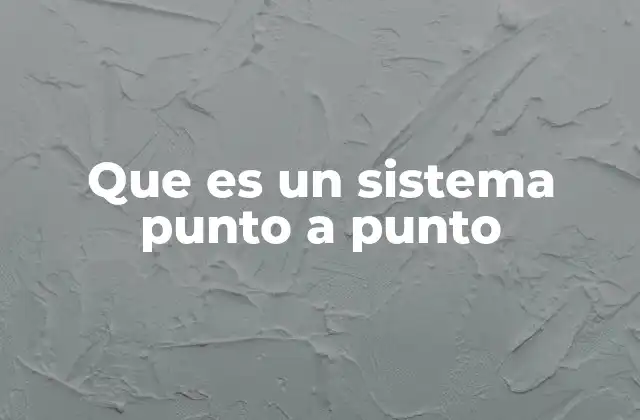 Que es un Sistema Punto a Punto